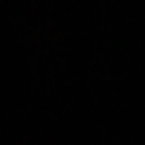 Meet your Posher, Elissa